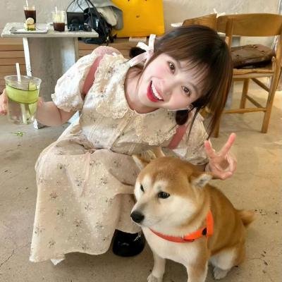 万事美好